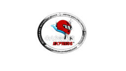 Casques Express Logo